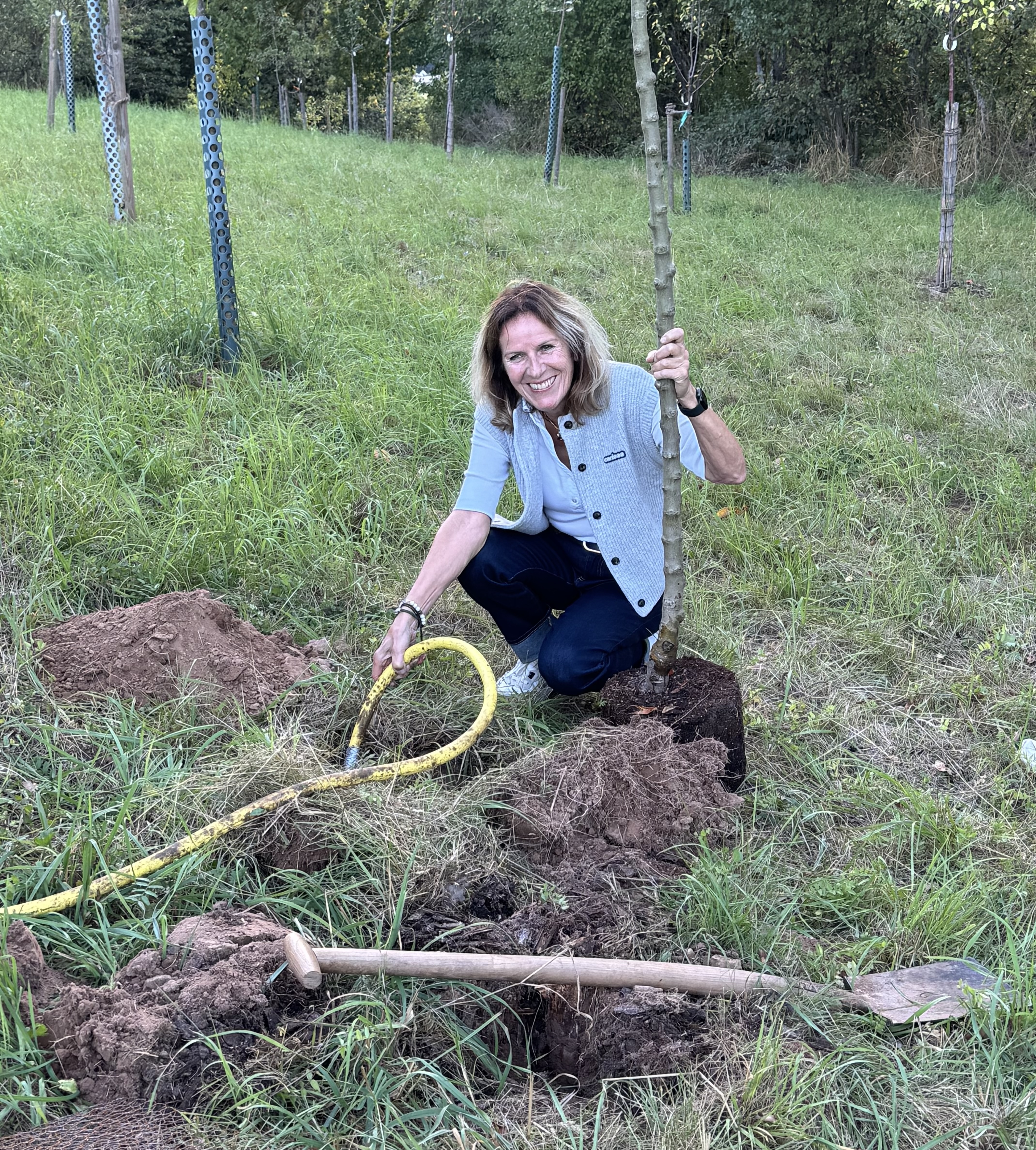 Teaser Baum Challenge | 