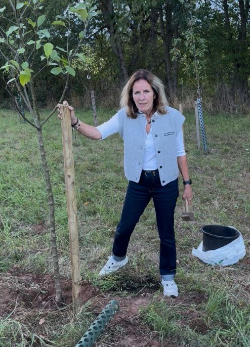 Baumpflanzen Gisela | 